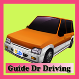 Guides Dr. Driving