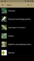 canto de melro|Canto Passaro Preto اسکرین شاٹ 3