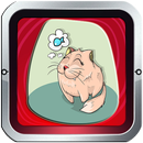 How to Easy Educate Your Cat Since It's Small aplikacja