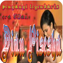 Dian Pisesha the memories~mp3 APK