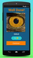 Animal Eye Quiz capture d'écran 1