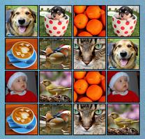 Memory Test Game - Photo Match Affiche