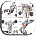 400++ Shaping Body Muscle