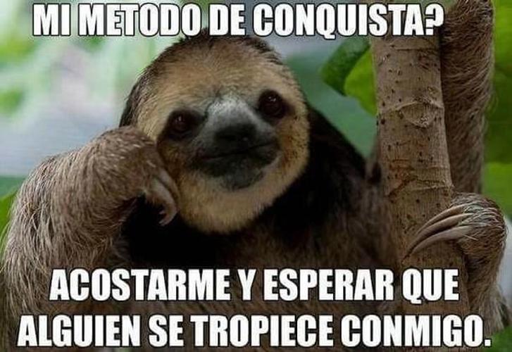 Memes Diarios Latinos For Android Apk Download - memes de roblox en espanol latino