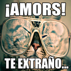 Memes Graciosos de Amor biểu tượng