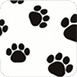 Puppies Puzzle آئیکن