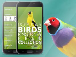 Poster Birds Ringtones - Goldfinch