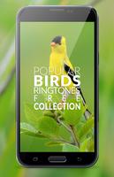 1 Schermata Birds Ringtones - Goldfinch