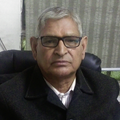 Dr B M Mamodia