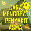 Cara Mengobati Penyakit Asma