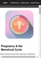 Menstrual Cycle And Pregnancy الملصق
