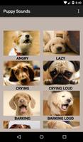 Puppy Sounds Affiche