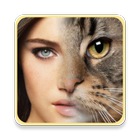 Face Morphing icon