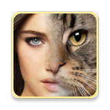Face Morphing icon