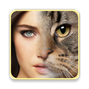 Face Morphing ( Face Edit) APK