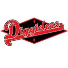 آیکون‌ Diggidees