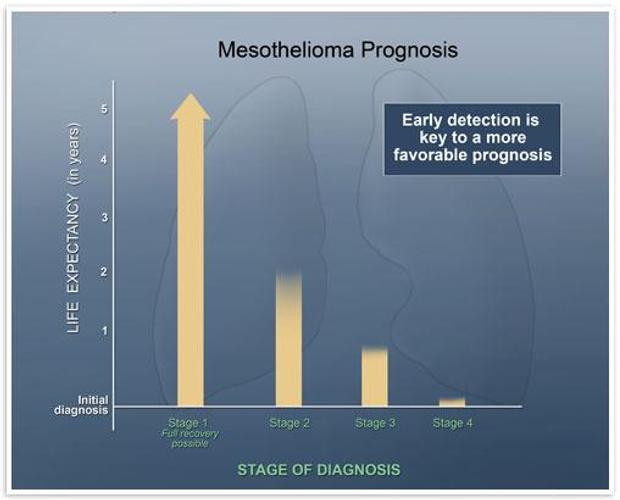 mesothelioma skin cancer