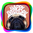 Birthday Cards icon