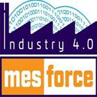 Mesforce icon