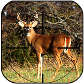 Deer Hunting Game 2018 icon