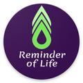 Reminder Of Life