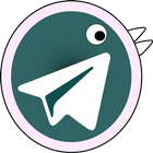 Messenger Gram icon