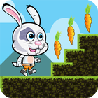 Bunny Run ícone