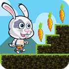 Bunny Run أيقونة