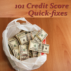 ikon 101 Credit Score Fixes