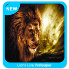 Lions Wallpaper ikon