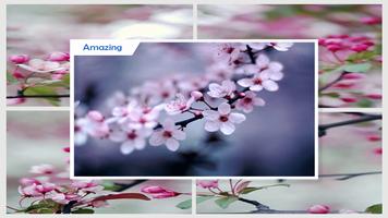 Sakura Cherry Blossoms Live Wallpaper ảnh chụp màn hình 2