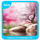 Sakura Live Wallpaper HD icône