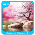 Sakura Live Wallpaper HD 아이콘