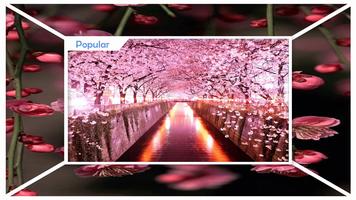 Sakura Live Wallpaper HD Affiche