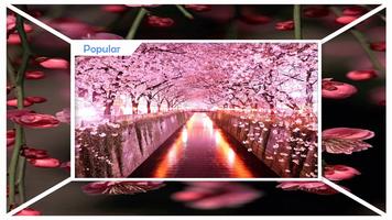 Sakura Live Wallpaper HD 포스터