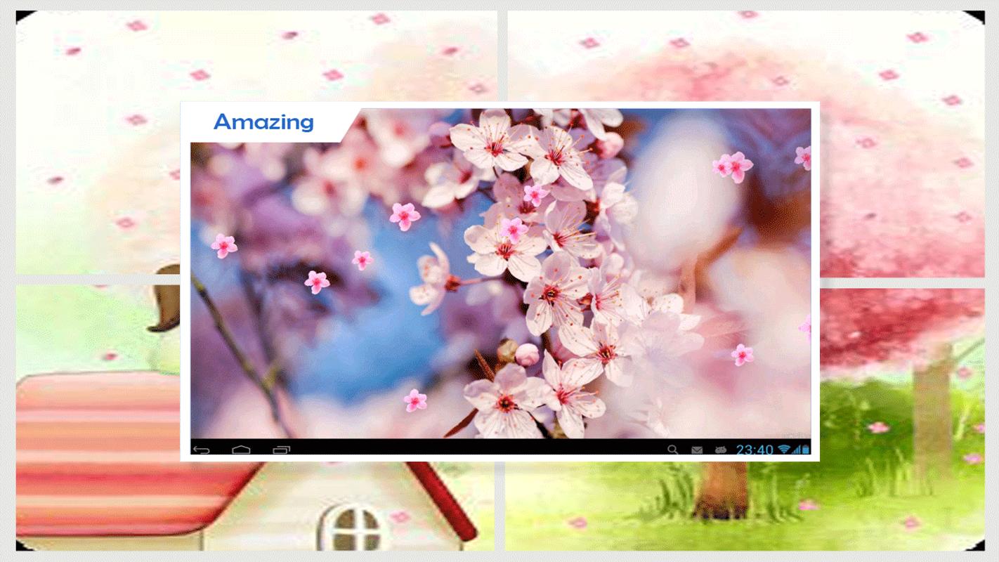 Wallpaper Hidup Sakura HD APK Download Gratis Seni Desain APL