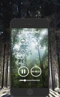 Forest Nature Sounds screenshot 1
