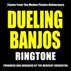 Duelling Banjos Ringtone icône