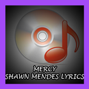 Mercy - Shawn Mendes Lyrics APK