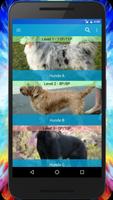 Dog Breeds Quiz - Game poster