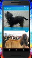 Dog Breeds Quiz - Game ảnh chụp màn hình 3