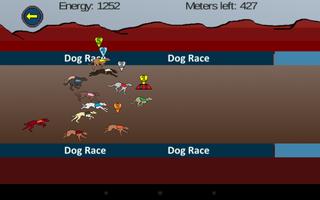 Greyhound Dog Race Screenshot 3