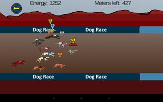 Greyhound Dog Race screenshot 3