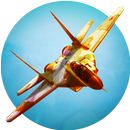 F14 Driving  Fight 3D APK