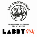 APK BUDOKAN LabbyGym