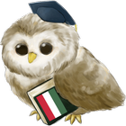 Learn Hungarian icon