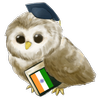 Aprende Hindi APK