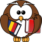 Learn Romanian آئیکن