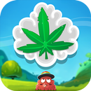 Kush Krush - Weed Match Game APK