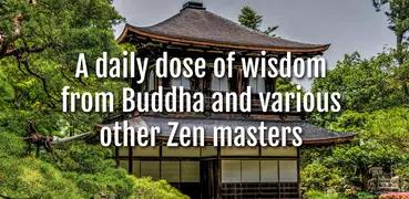 Daily Zen Buddhism 🏮